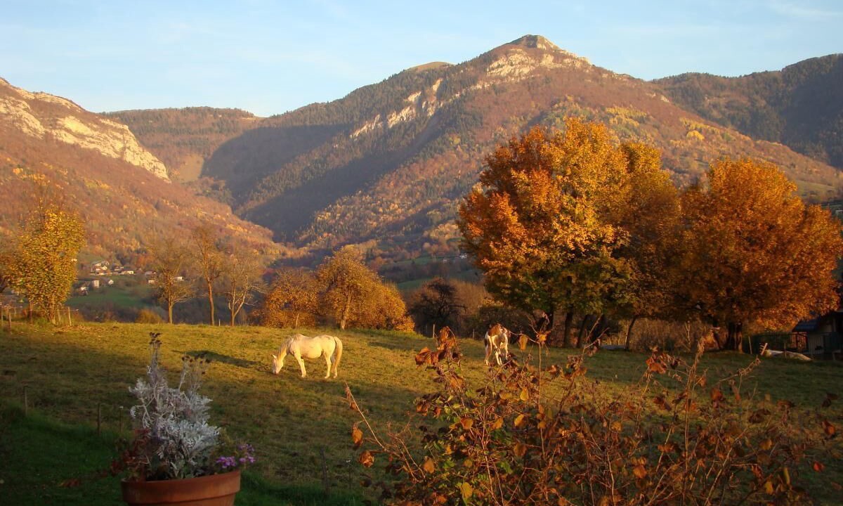 Photo of Outdoor in Saint-Jean-dʼArvey