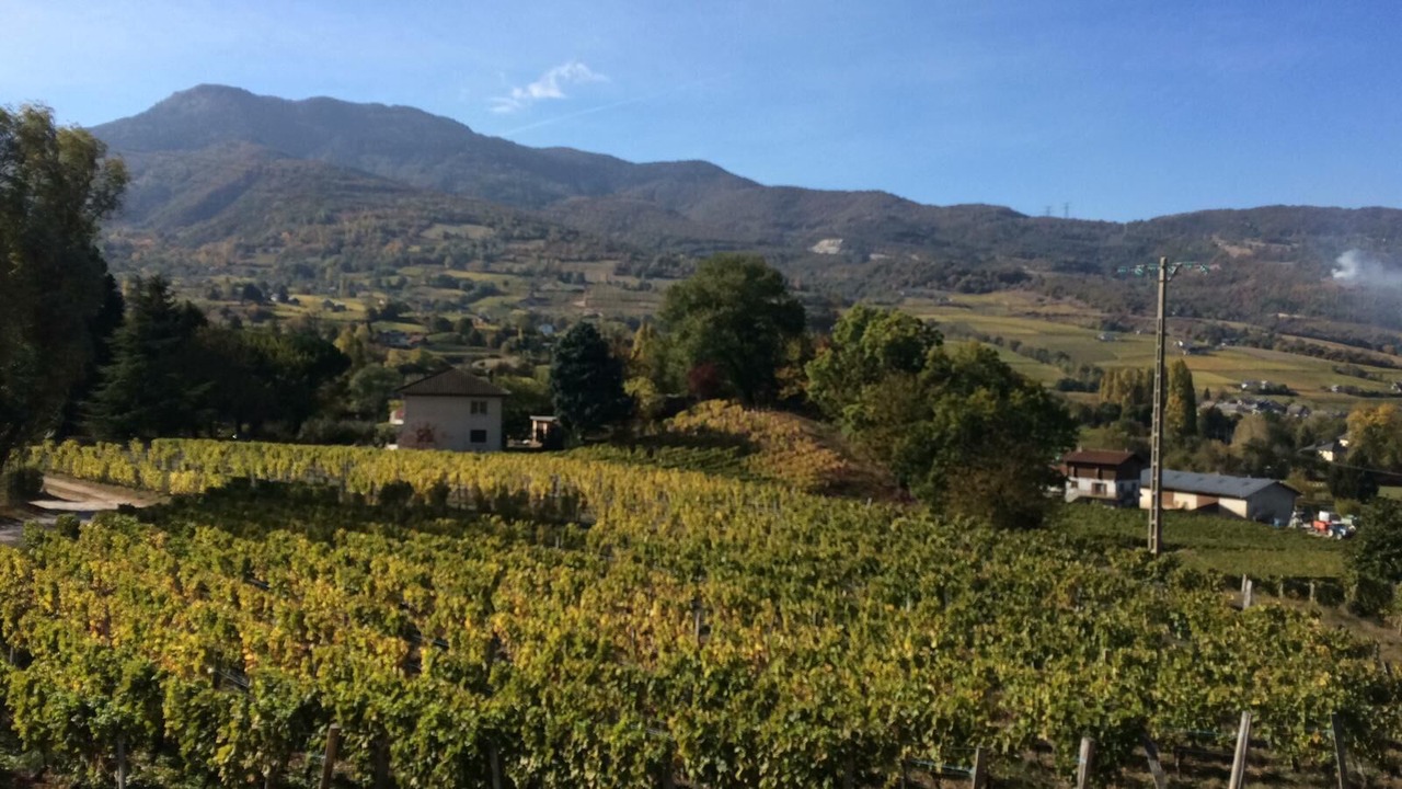 Photo of Others in Les Marches