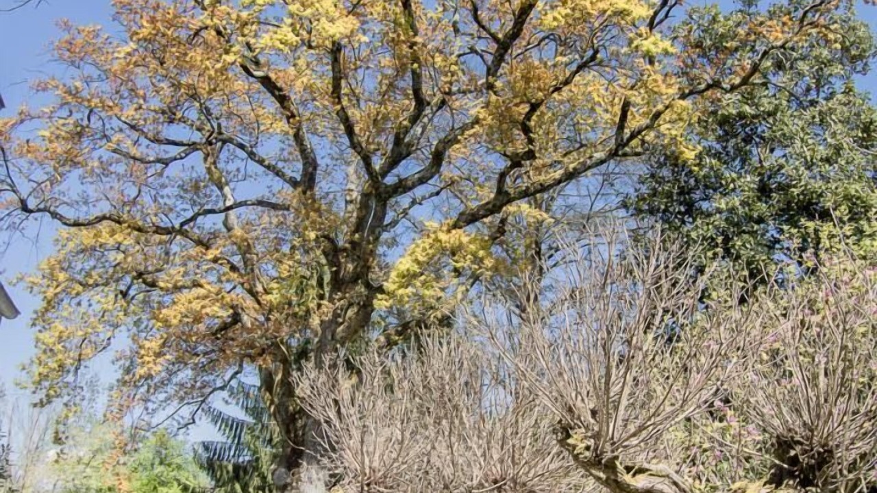 Photo of Outdoor in Viviers-du-Lac