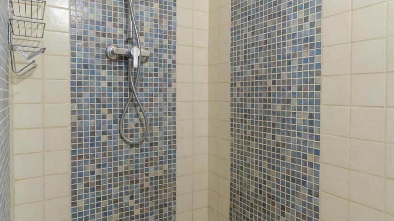 Photo of Bathroom in Montagnole