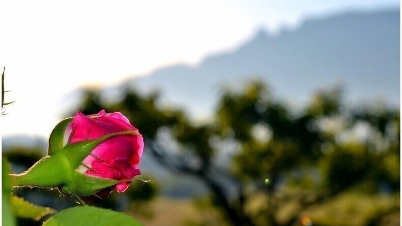 Photo of Outdoor in Traize