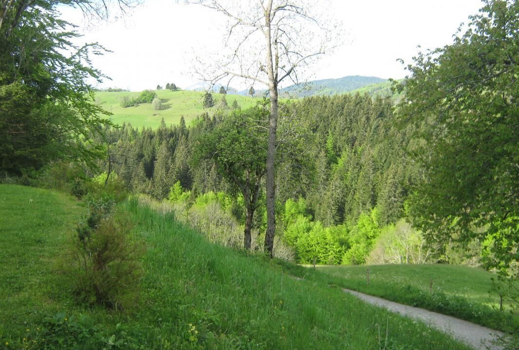Photo of Outdoor in Entremont-le-Vieux