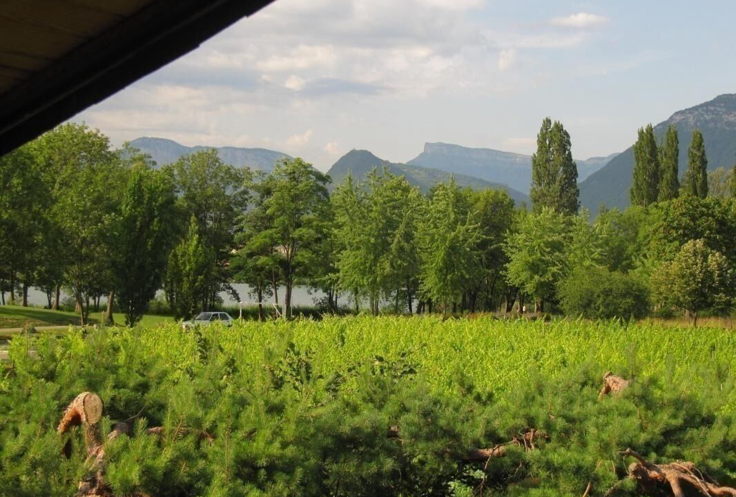 Photo of Others in Les Marches