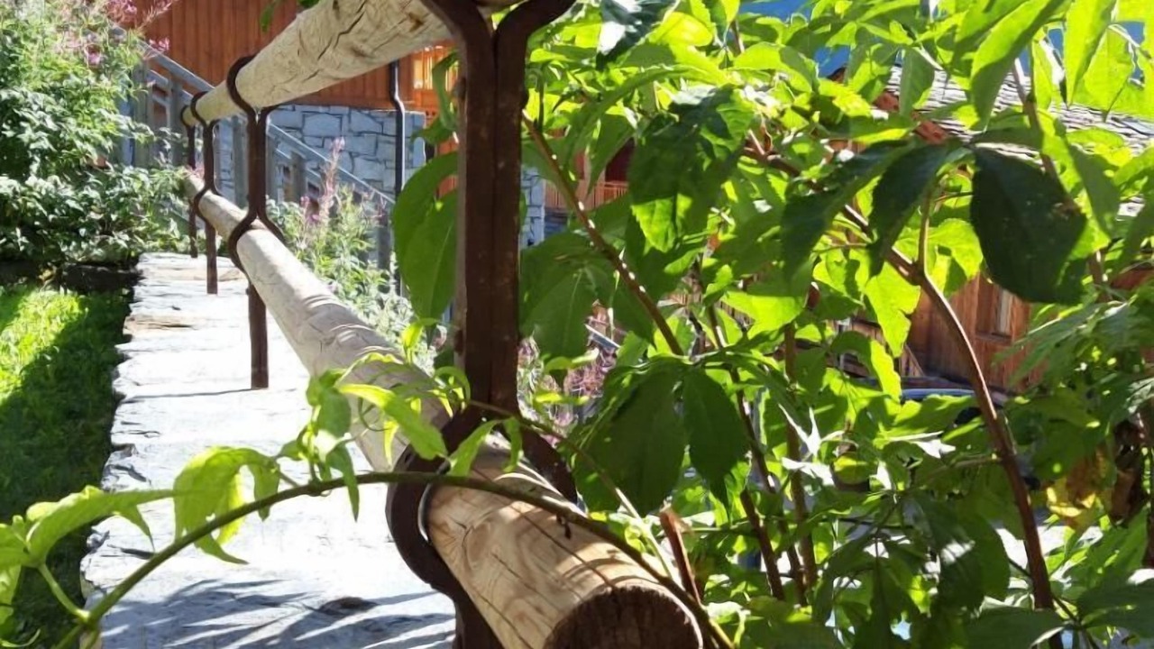 Photo of Outdoor in Sainte-Foy-Tarentaise