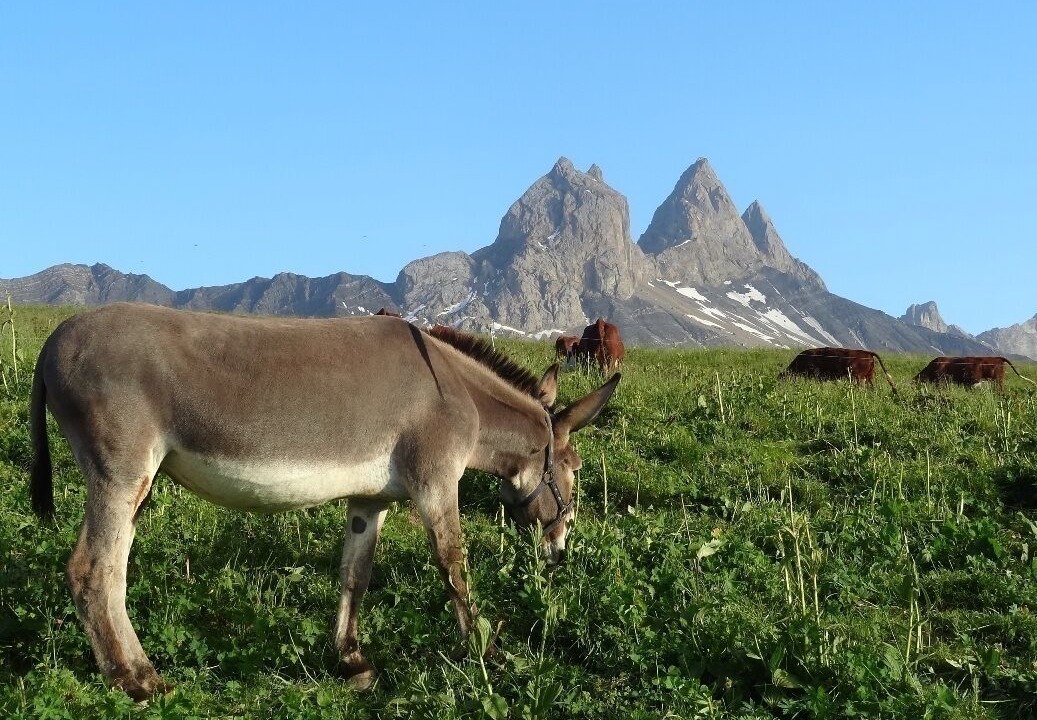 Photo of Outdoor in Albiez-Montrond