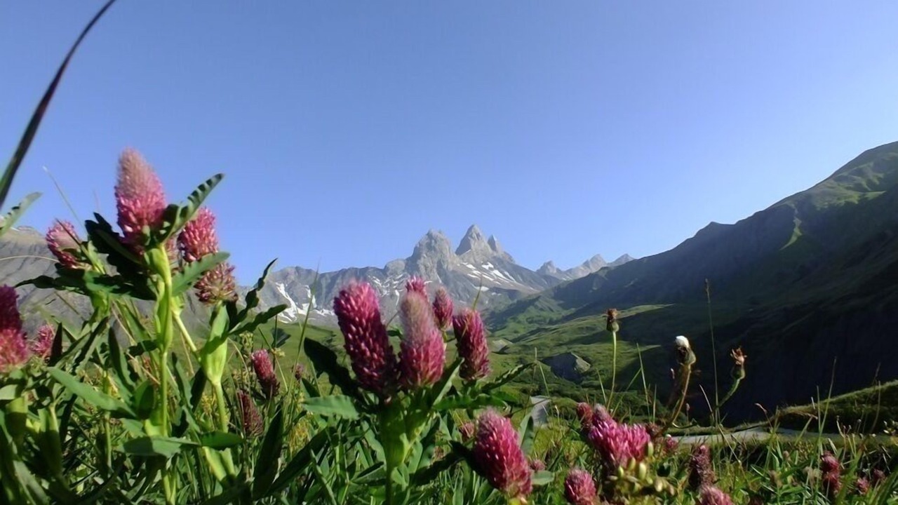 Photo of Others in Albiez-Montrond