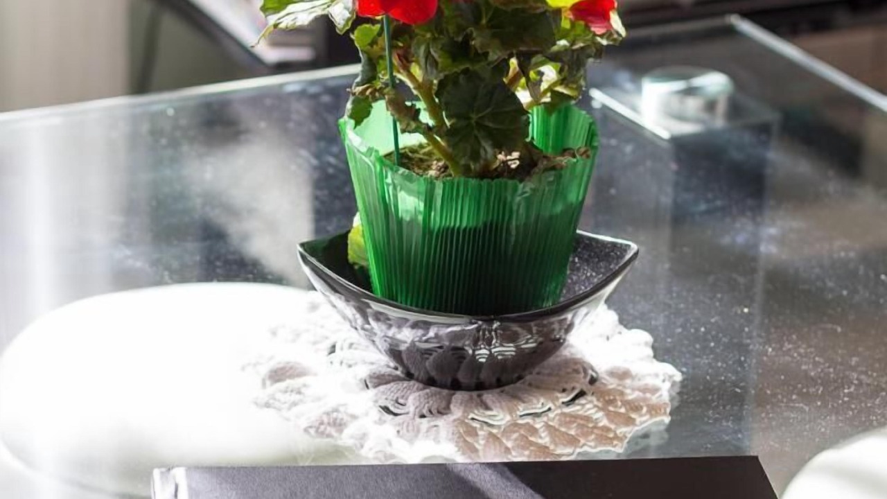 Photo of Others in La Bridoire