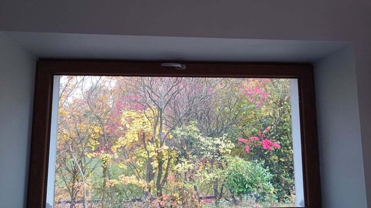 Photo of Others in Les Marches