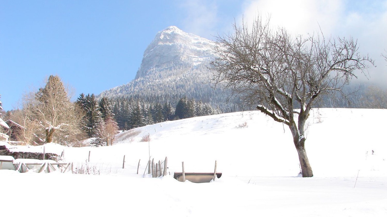 Photo of Others in Entremont-le-Vieux