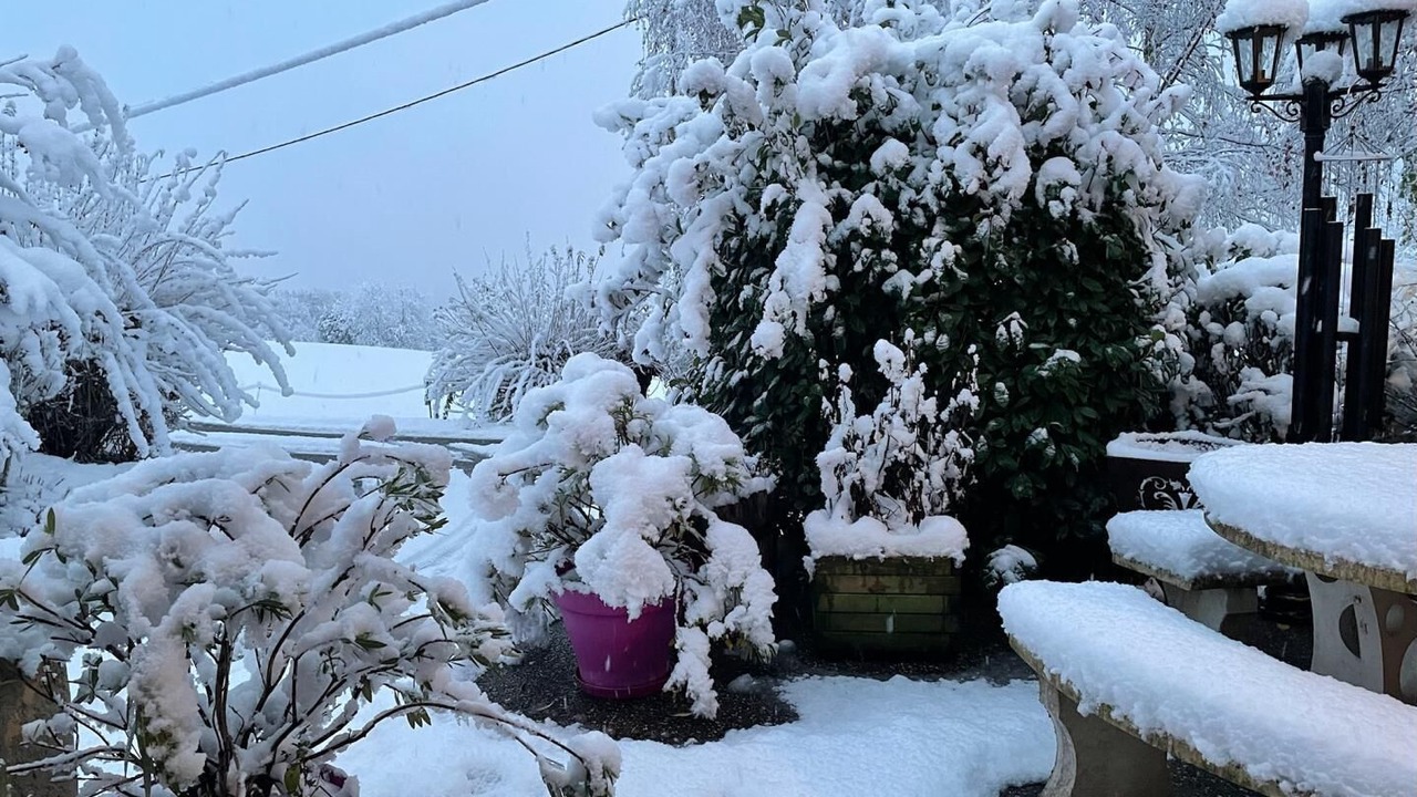 Photo of Outdoor in Gilly-sur-Isere