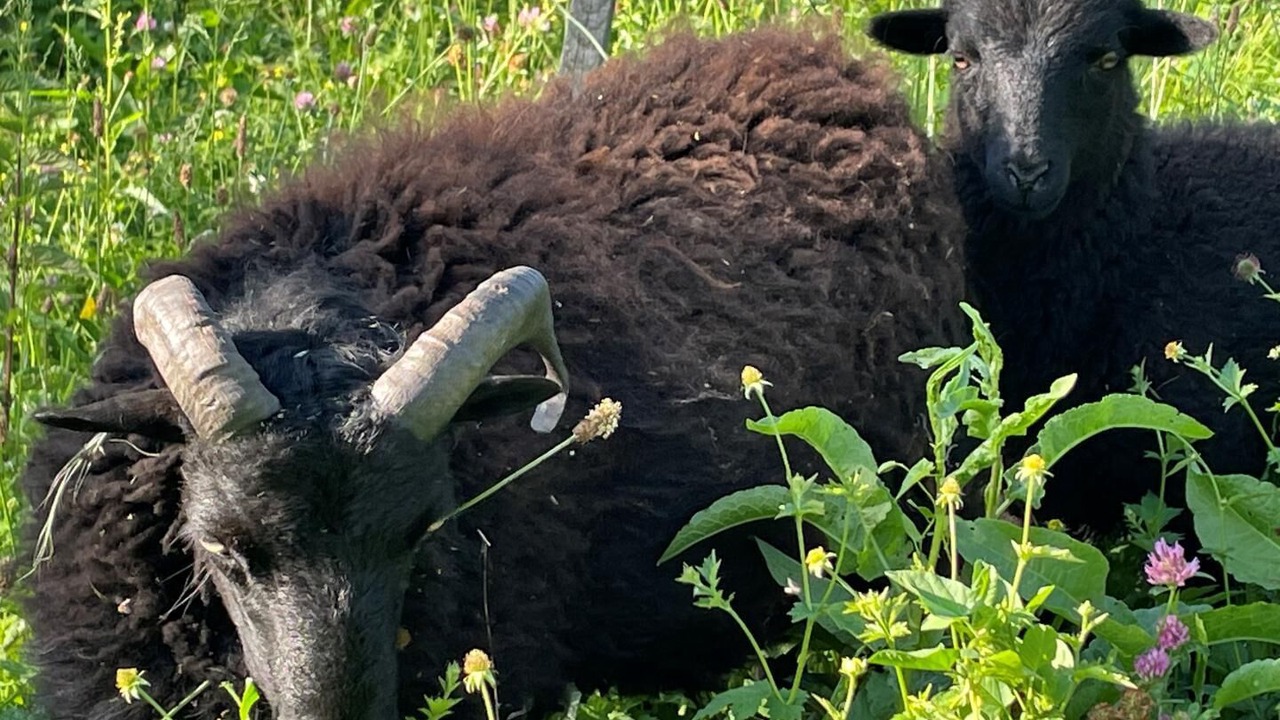 Photo of Outdoor in Gilly-sur-Isere