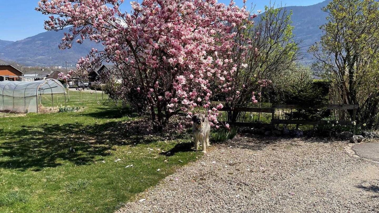 Photo of Outdoor in Gilly-sur-Isere