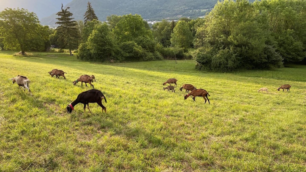 Photo of Others in Gilly-sur-Isere