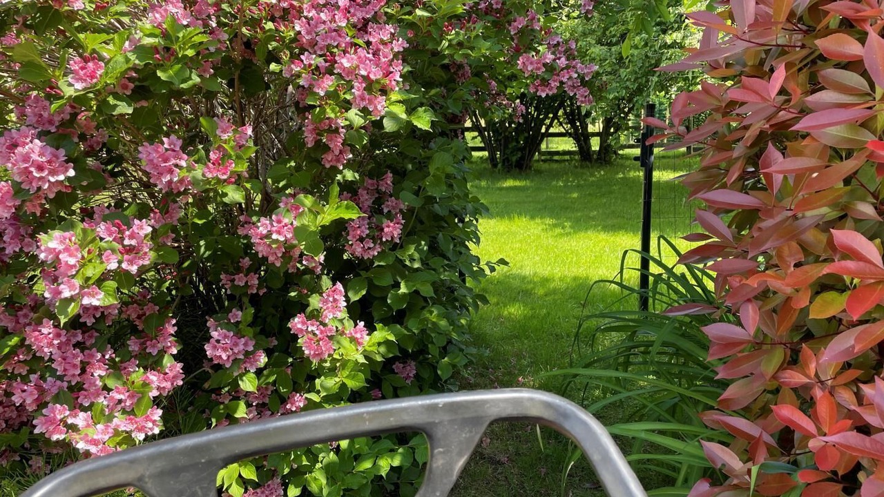 Photo of Outdoor in Gilly-sur-Isere