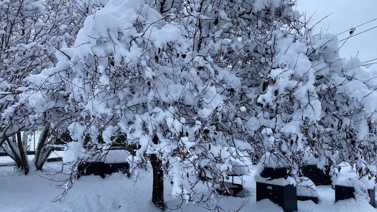 Photo of Outdoor in Gilly-sur-Isere