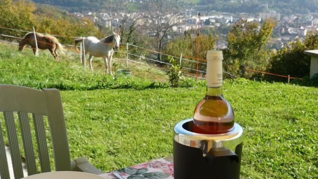 Photo of Outdoor in Mercury