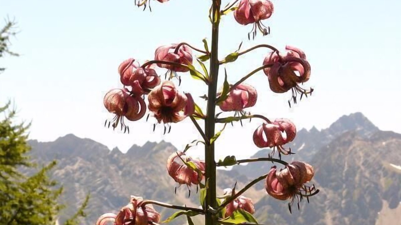 Photo of Outdoor in Seez