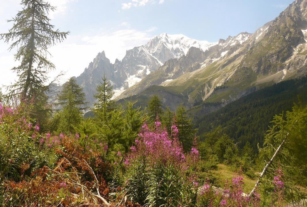 Photo of Others in Seez