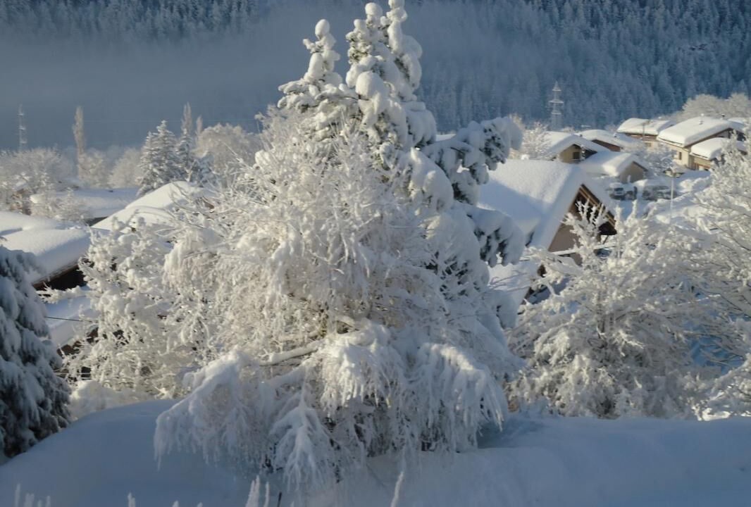 Photo of Others in Seez