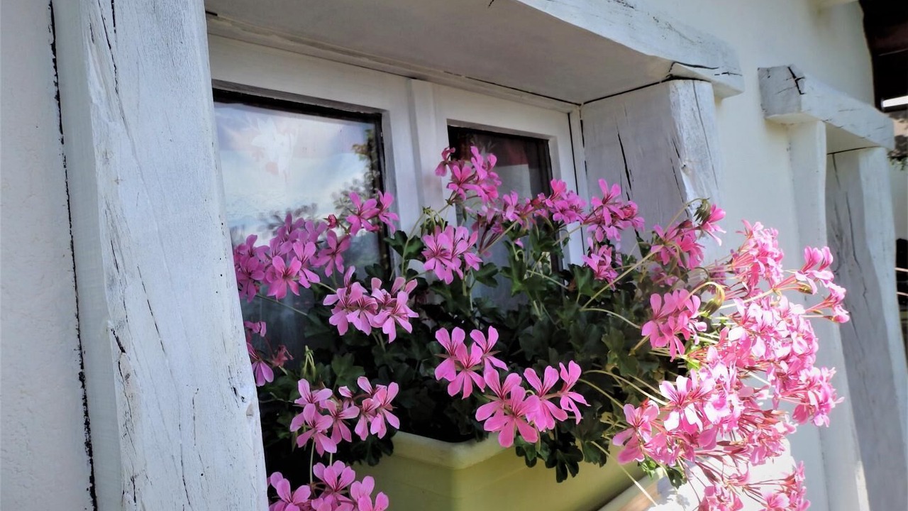Photo of Outdoor in Ugine