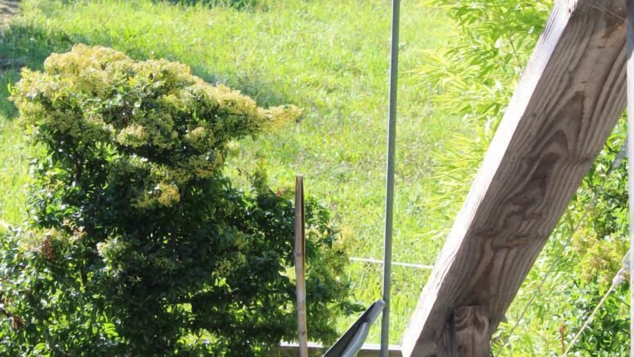 Photo of Outdoor in Bonvillard