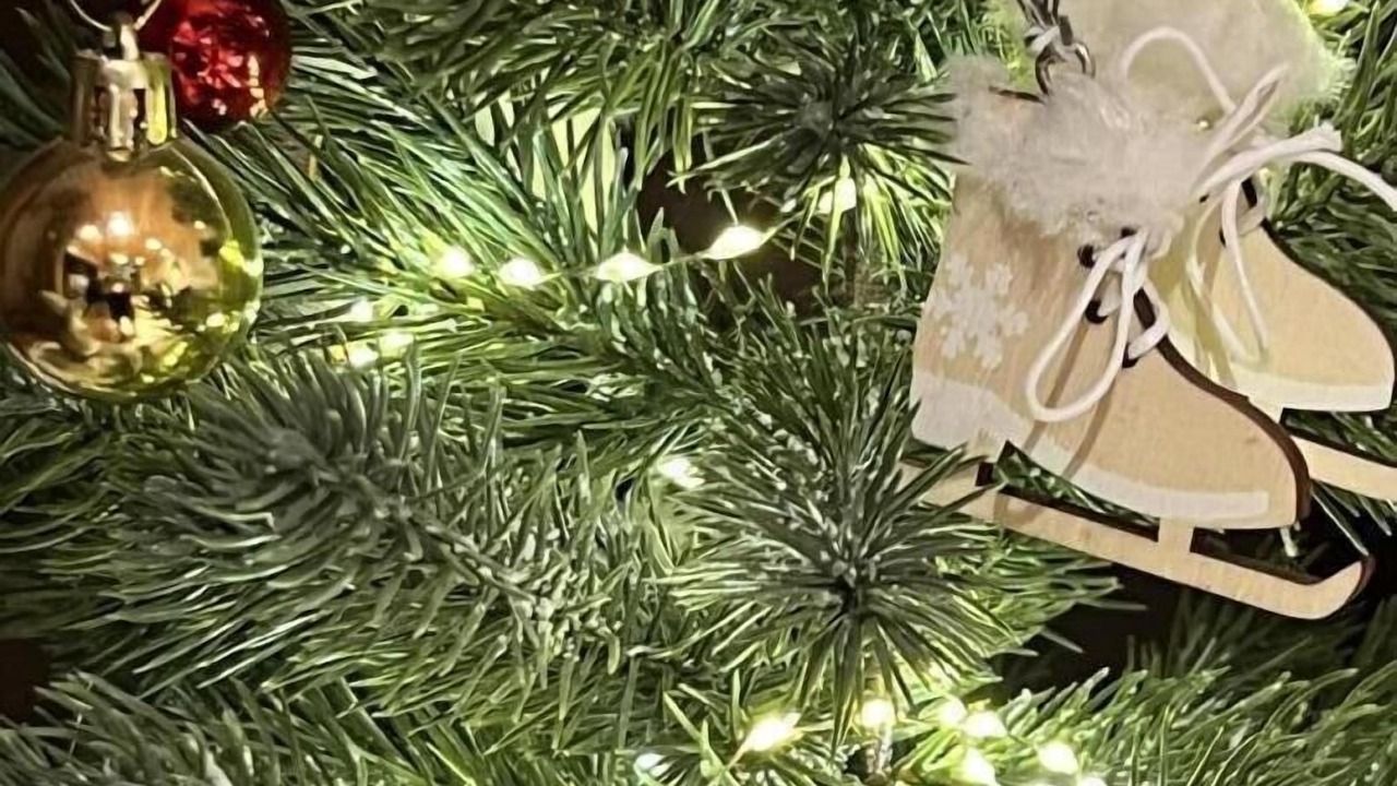 Photo of Others in Bonvillard