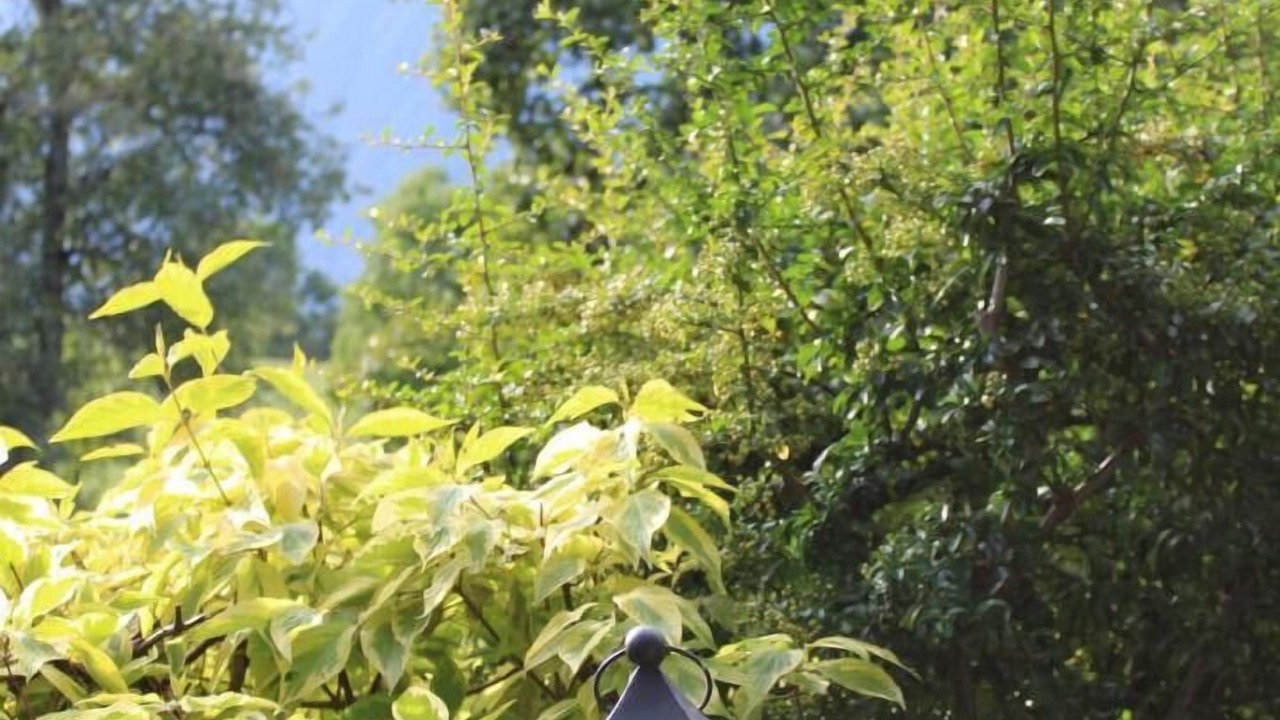 Photo of Outdoor in Bonvillard