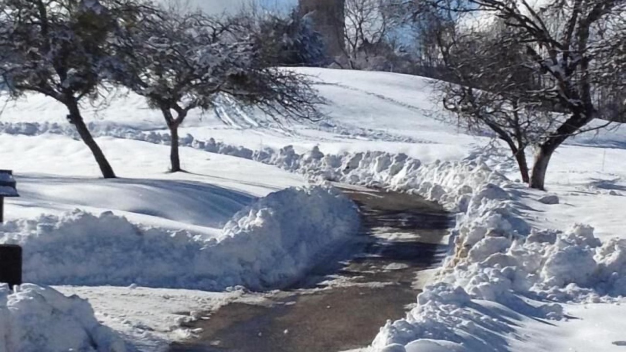 Photo of Others in Bonvillard