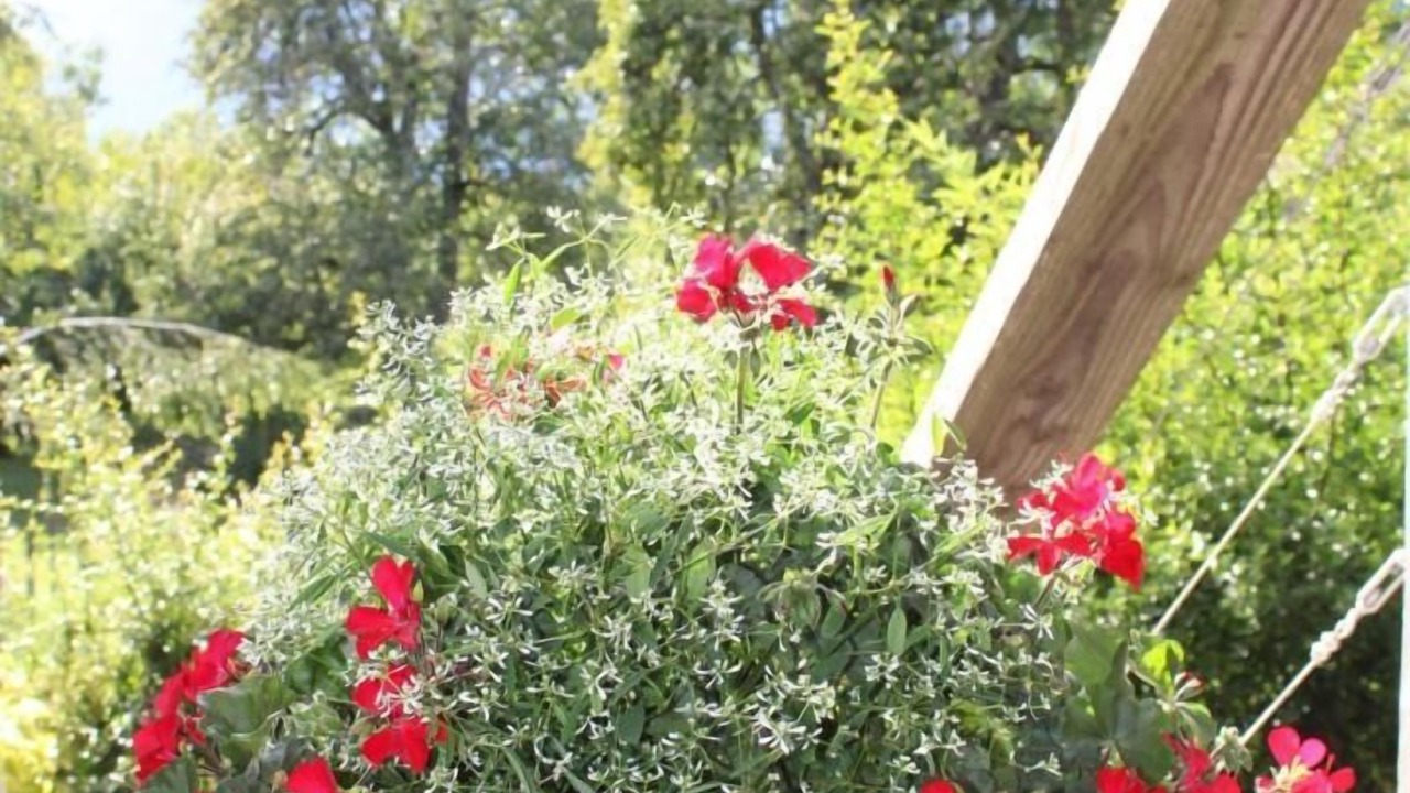 Photo of Outdoor in Bonvillard