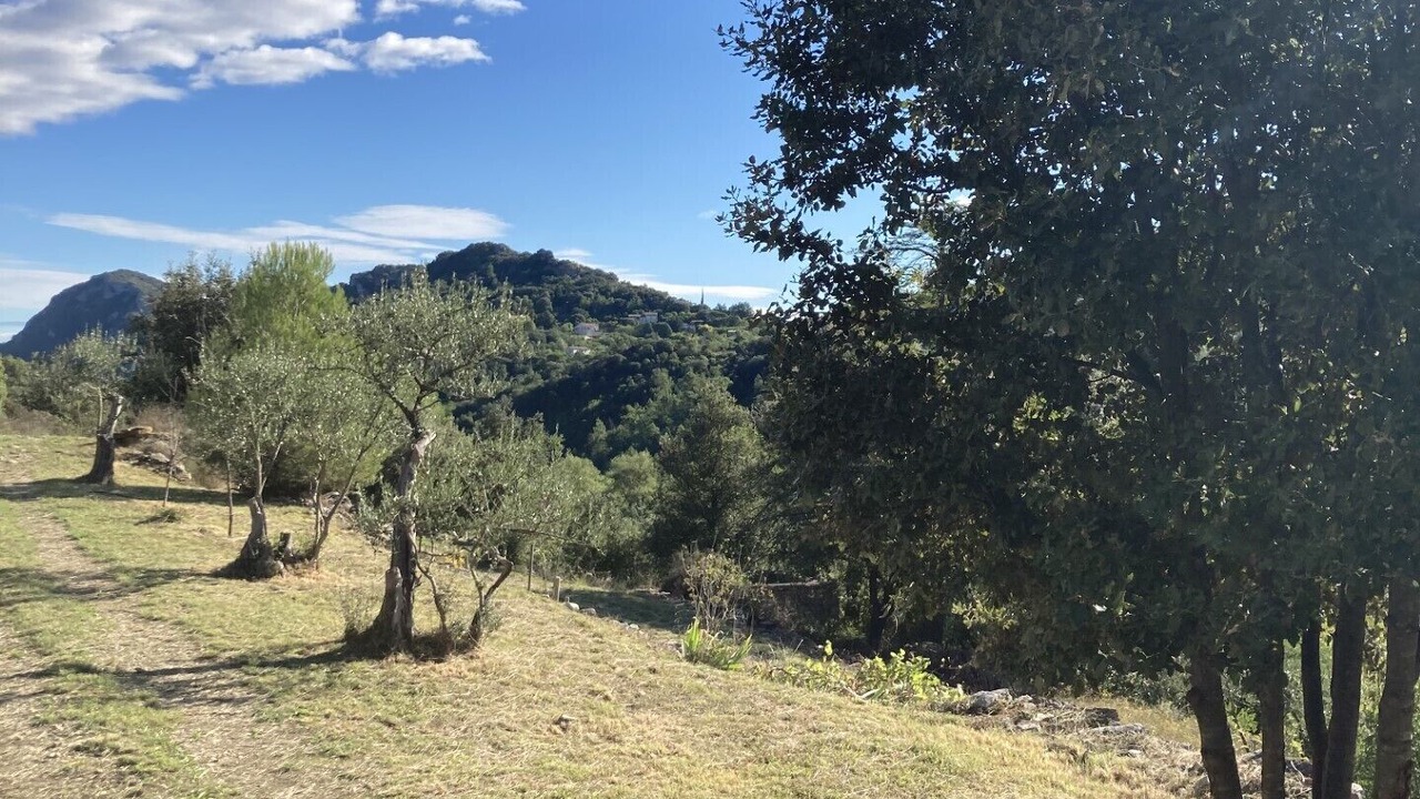 Photo of Others in Anduze
