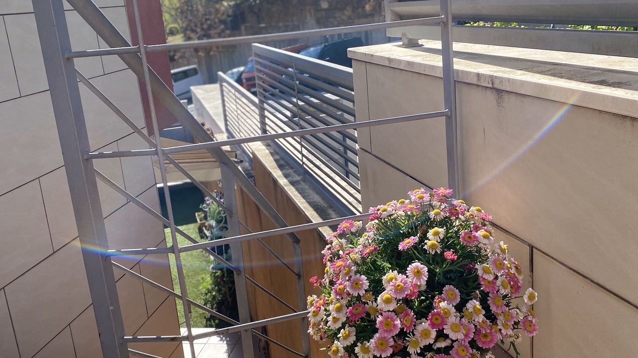 Photo of Outdoor in Teia