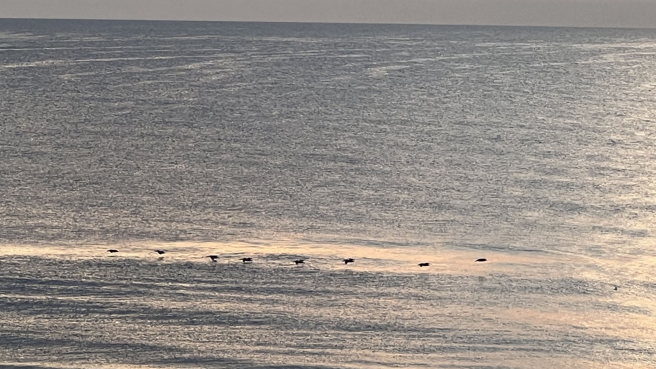 Photo of Others in Bostwick Park