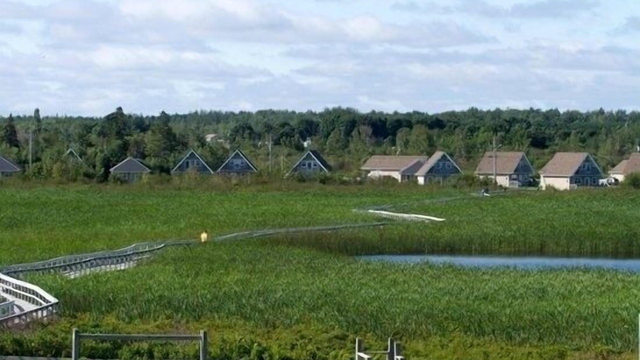 Photo of Outdoor in Cap-Pele