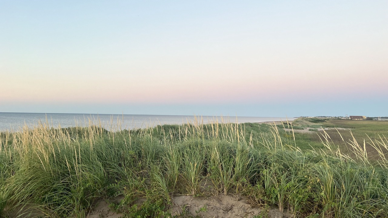 Photo of Others in Cap-Pele