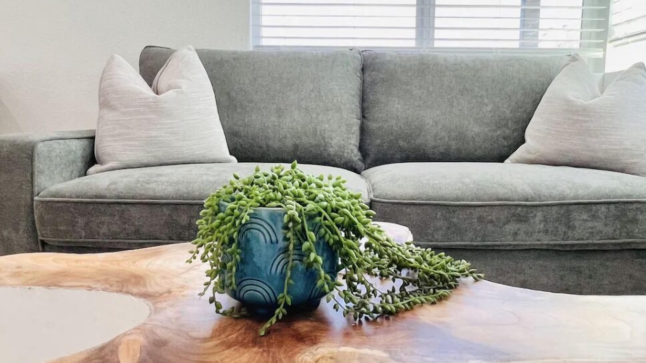 Photo of Livingroom in Central Mission Beach
