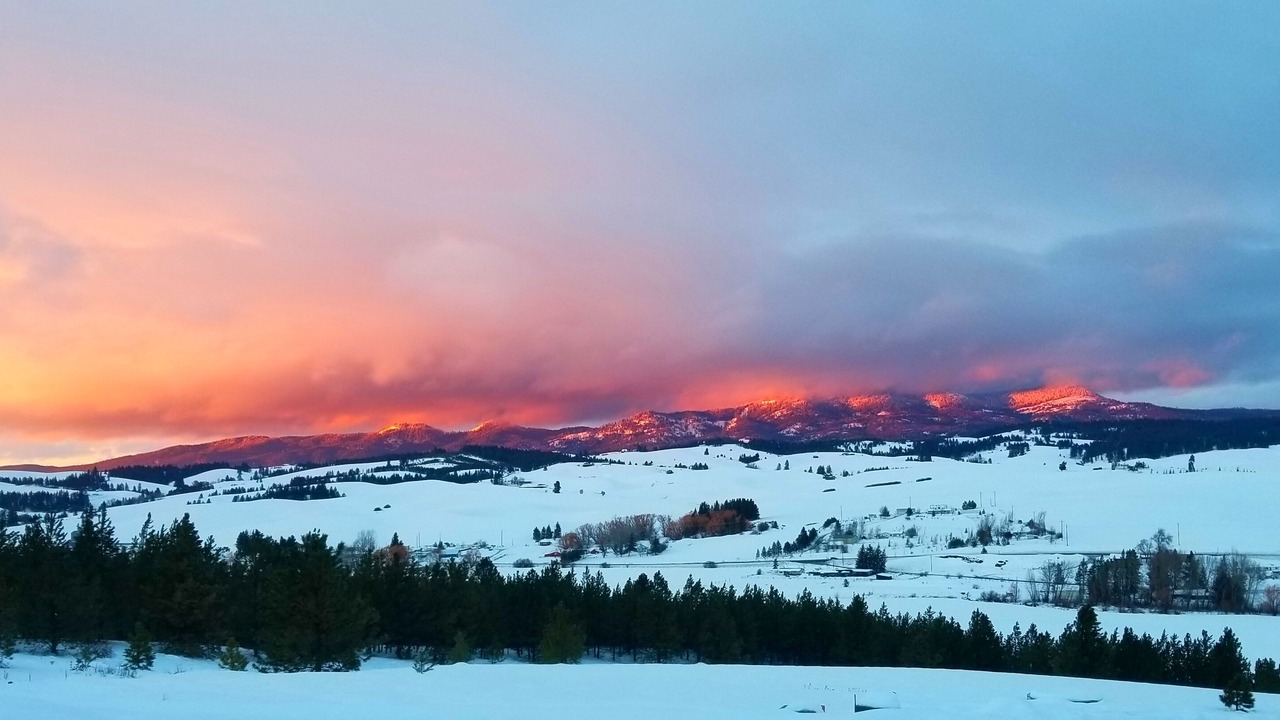Photo of Others in Moscow