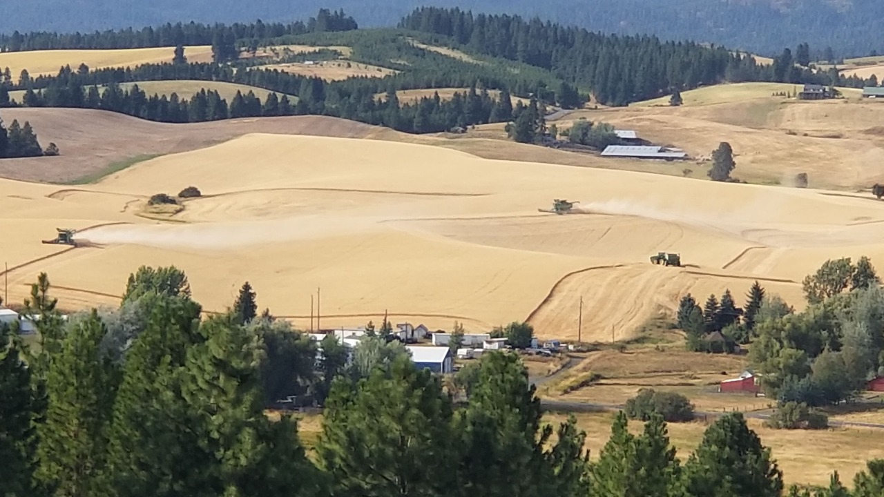 Photo of Outdoor in Moscow