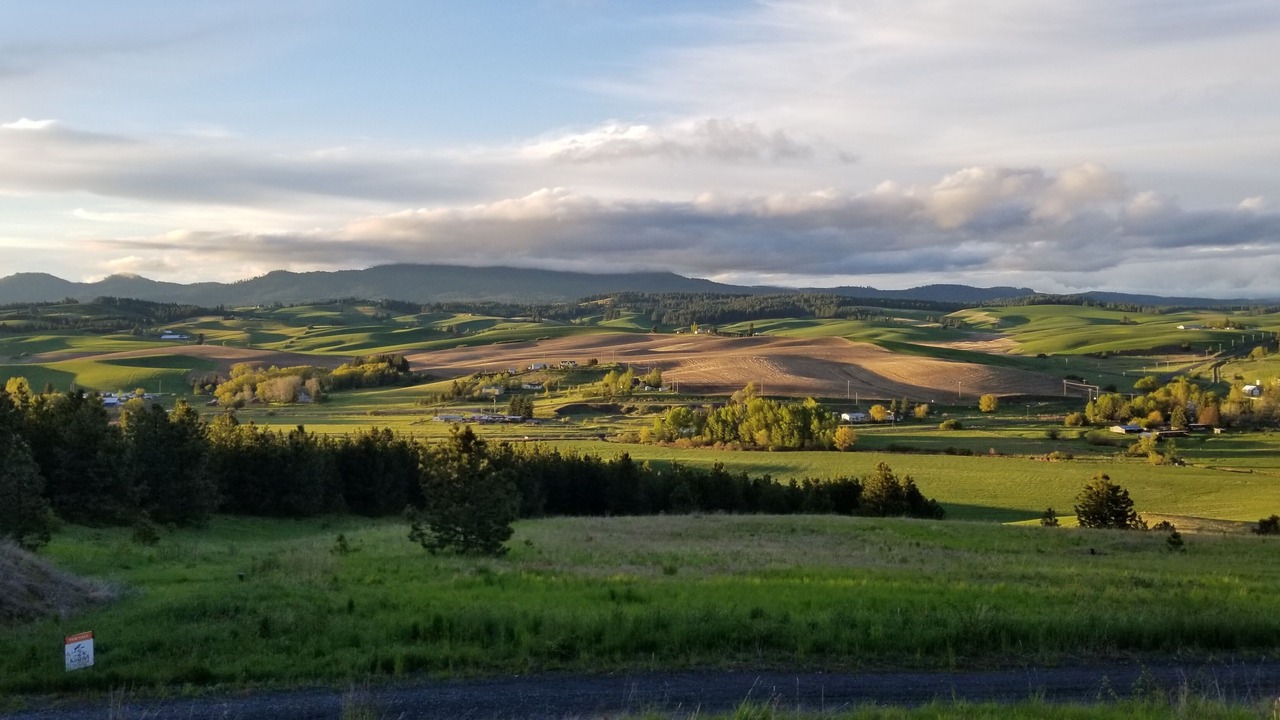 Photo of Outdoor in Moscow