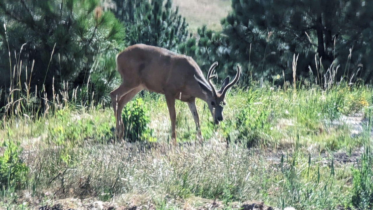 Photo of Outdoor in Moscow