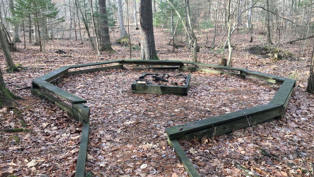 Photo of Outdoor in Petersburg