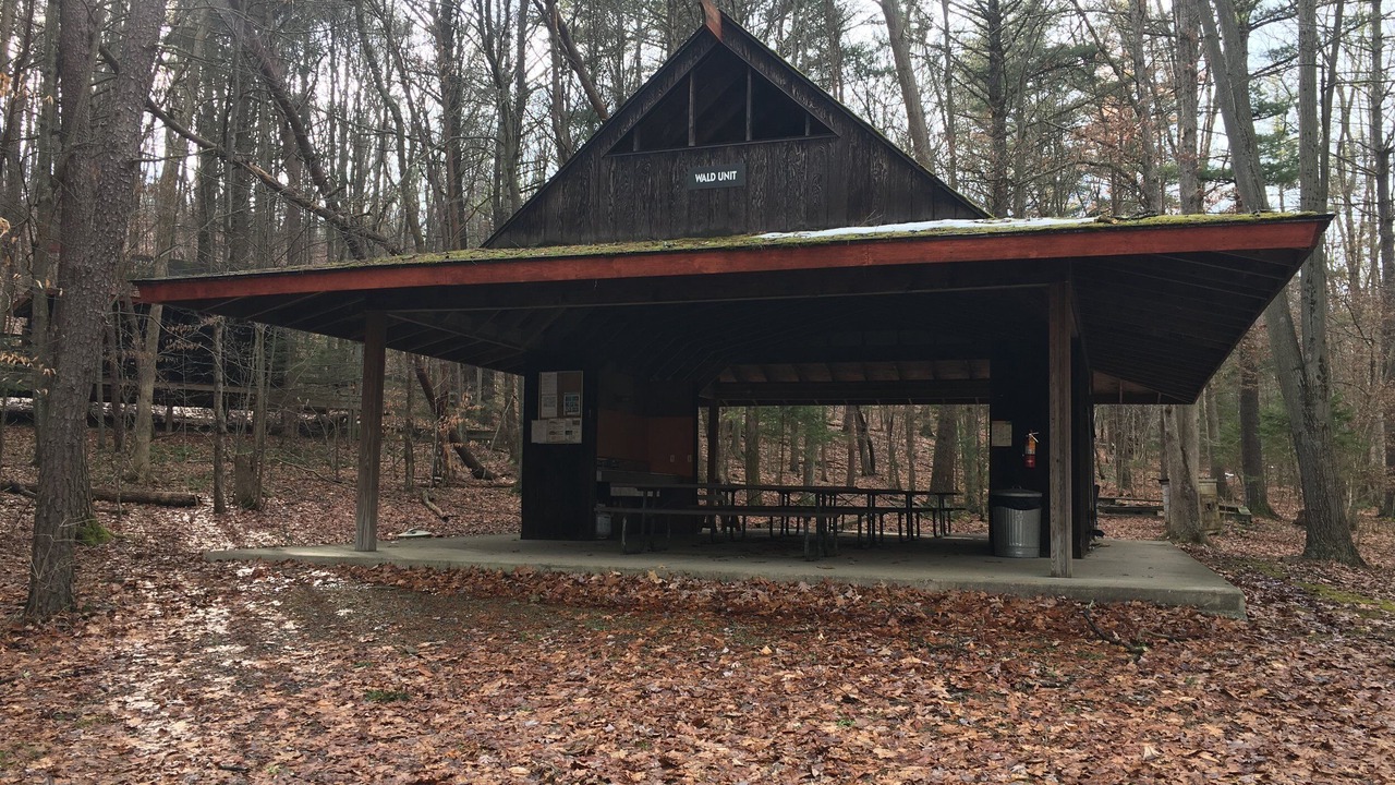 Photo of Outdoor in Petersburg