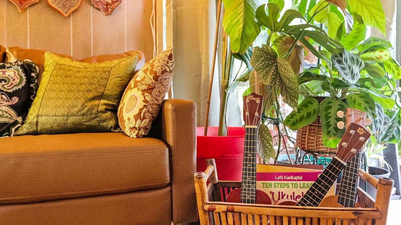 Photo of Others in North City