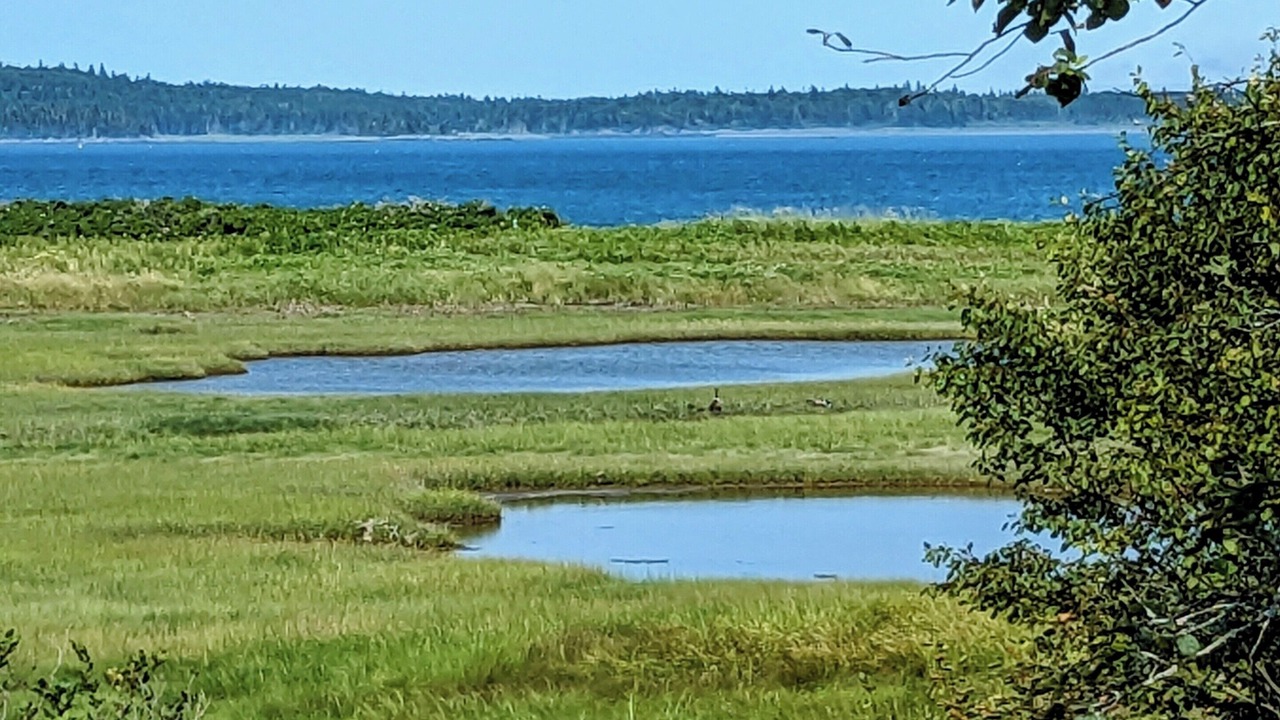 Photo of Others in Lubec
