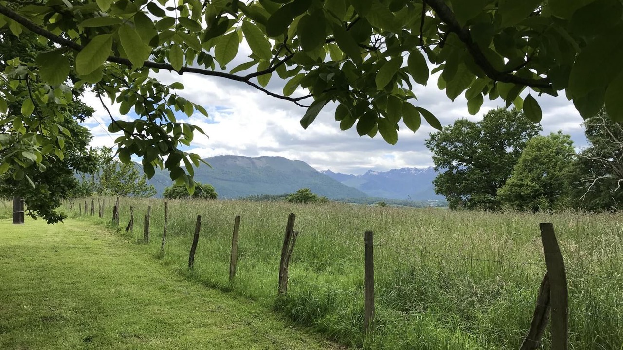 Photo of Others in Lys