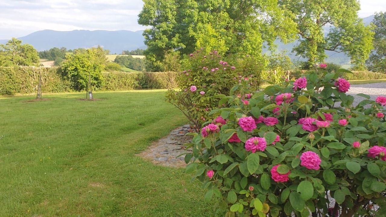 Photo of Outdoor in Lys