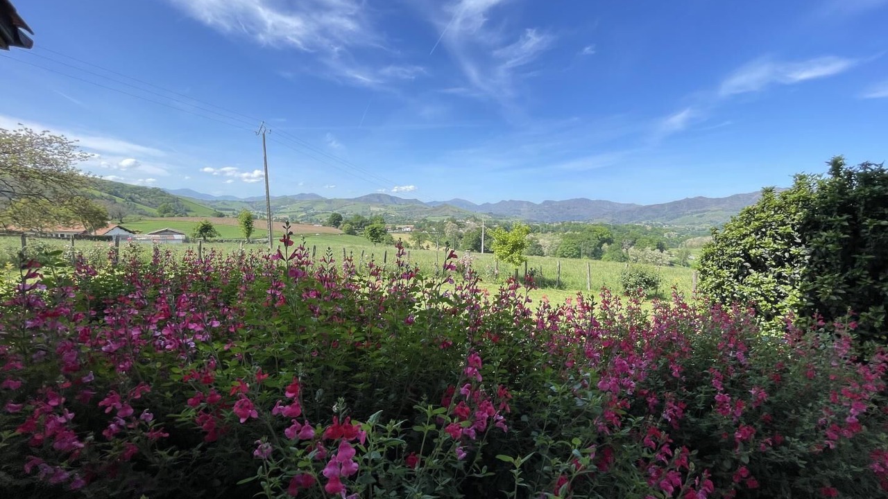 Photo of Outdoor in Irissarry