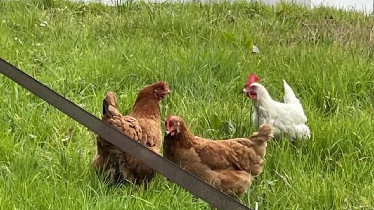 Photo of Outdoor in Ahetze