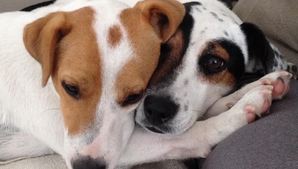 Photo of Others in Ahetze