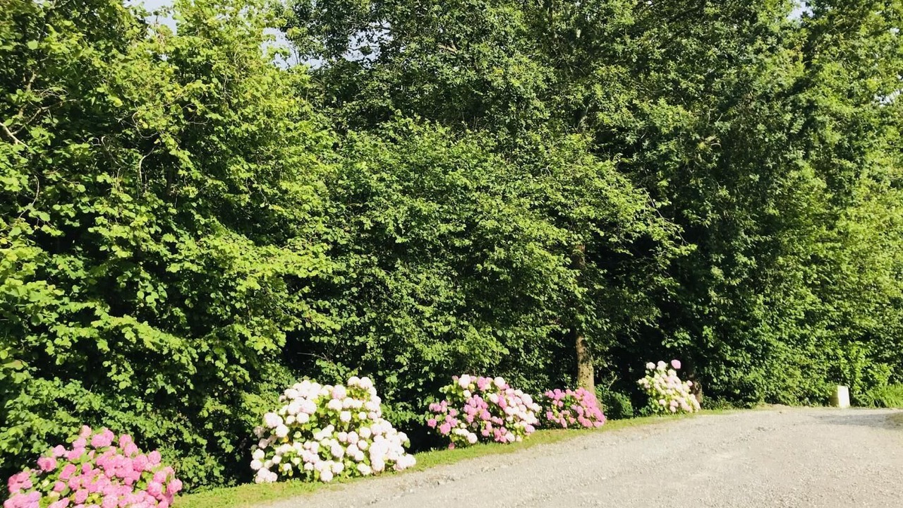 Photo of Outdoor in Ahetze