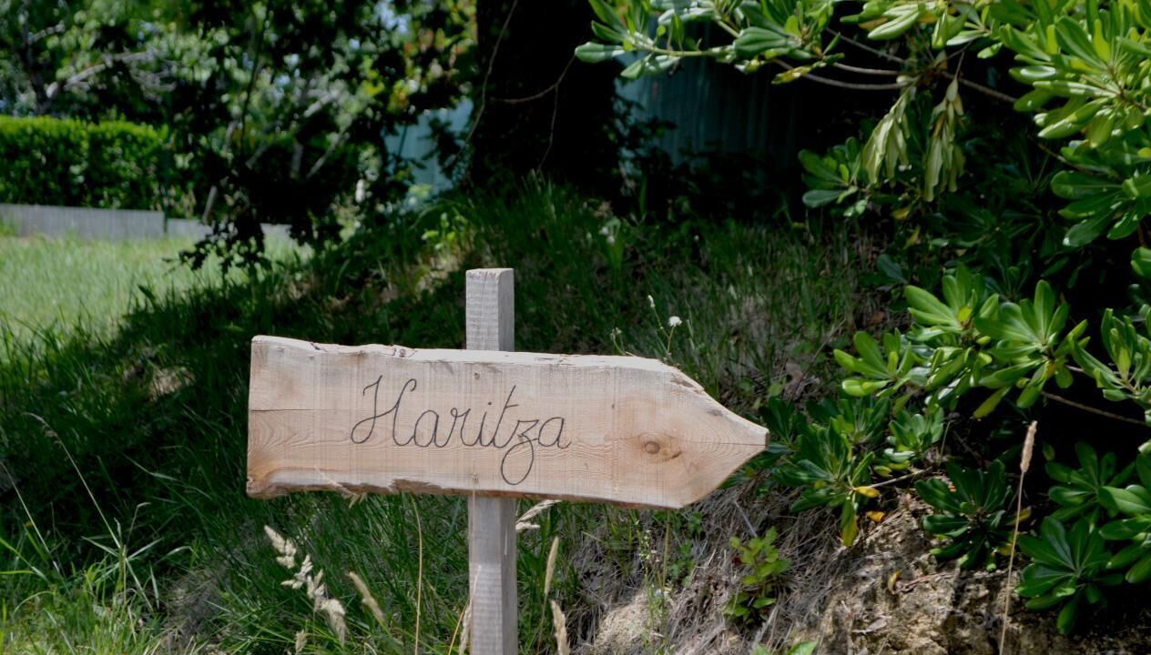 Photo of Outdoor in Ahetze